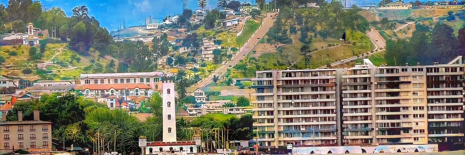 Vecinos La Serena's banner