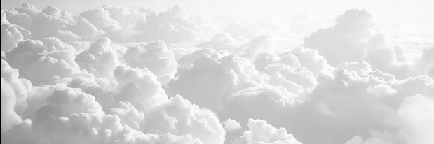 Aloe's banner