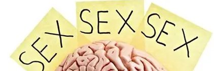 pornotron2's banner