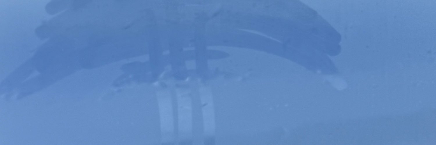 NoAndNo's banner