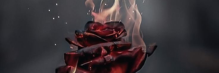 Maya Sofi's banner