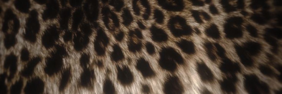 ☆☆☆'s banner