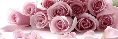 zehava🌷🩵's banner