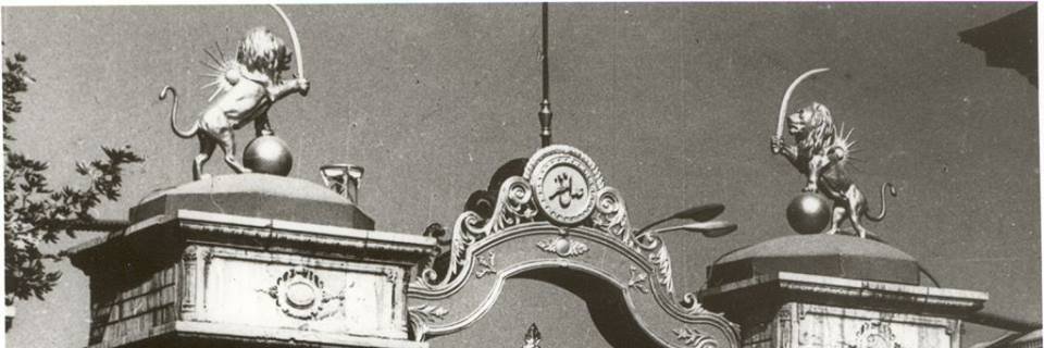 علیرضا موسوی نور's banner