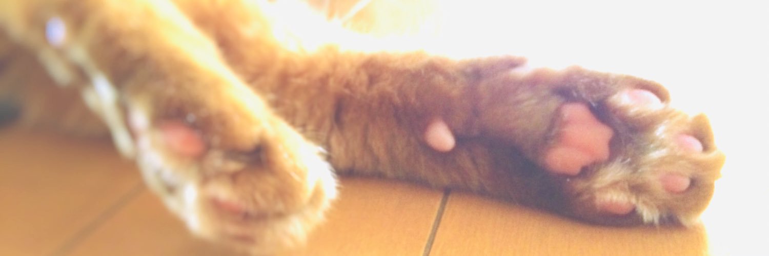 にぺくもりずのん's banner