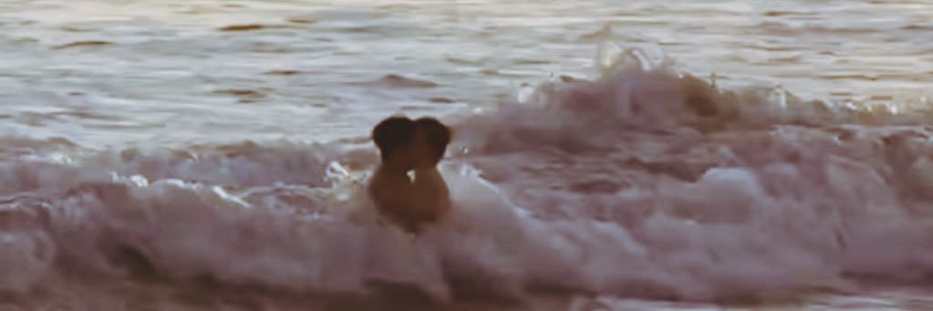 beb ☾⋆'s banner