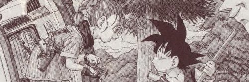 ルカリオ先生　トレカの波動's banner