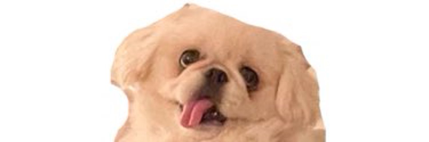 ムーチョの部屋's banner
