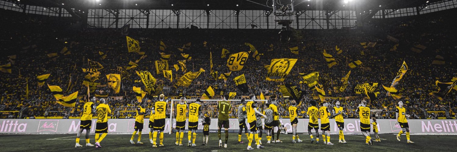 L I Z 🖤💛's banner
