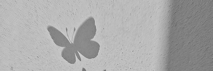 ✨🌸M E G A N🌸✨'s banner
