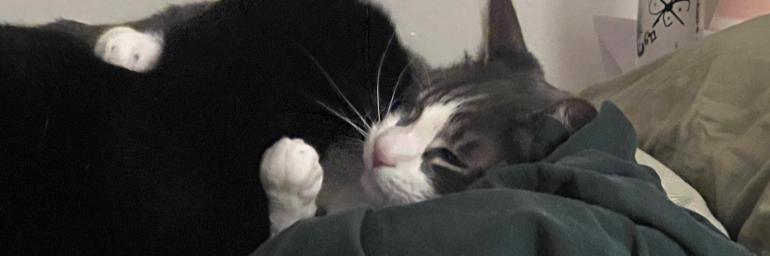 cosita's banner