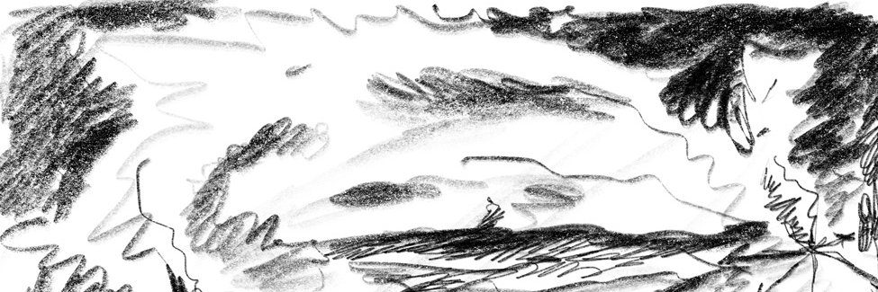 n i k i t a's banner