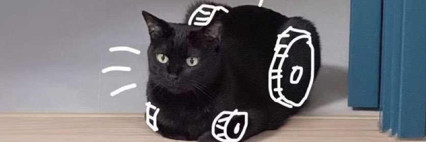 We Assess Cats 🐾's banner