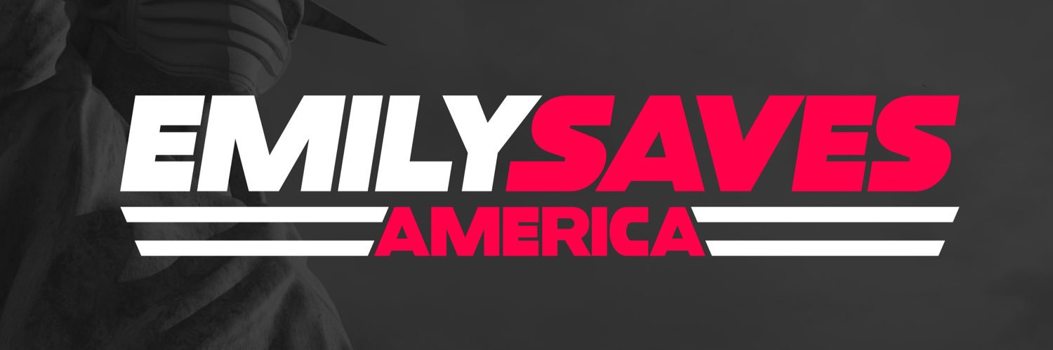 Emily Saves America's banner