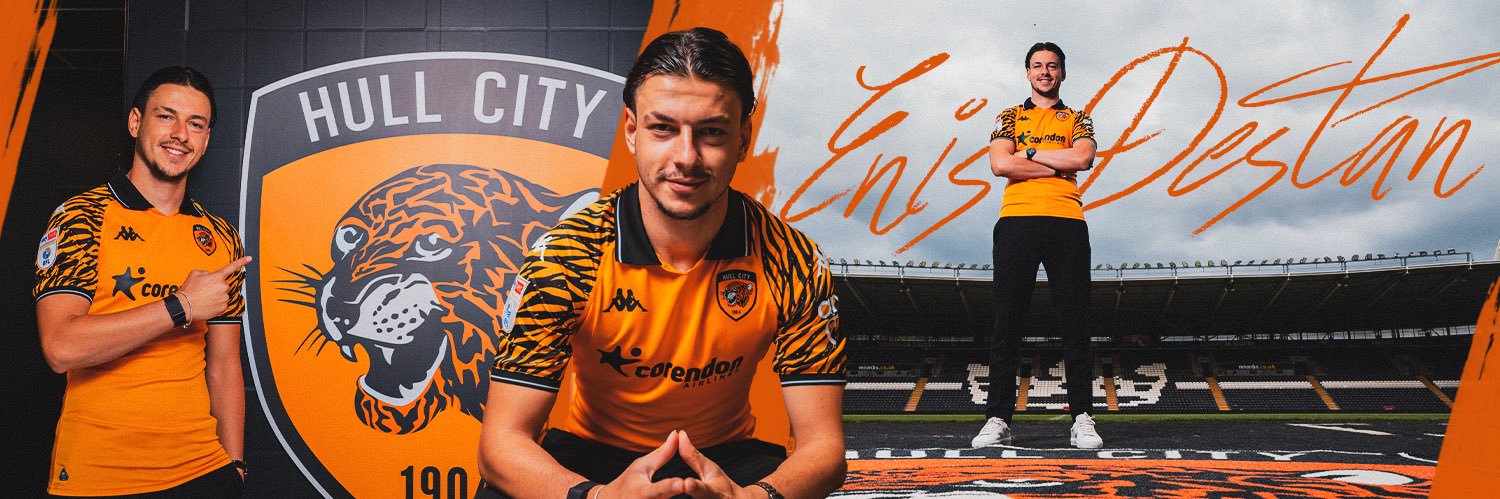 Enis Destan's banner