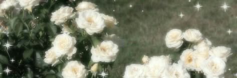 Samantha 🐾's banner