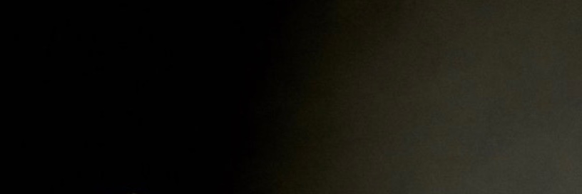 Samantha 🐾's banner