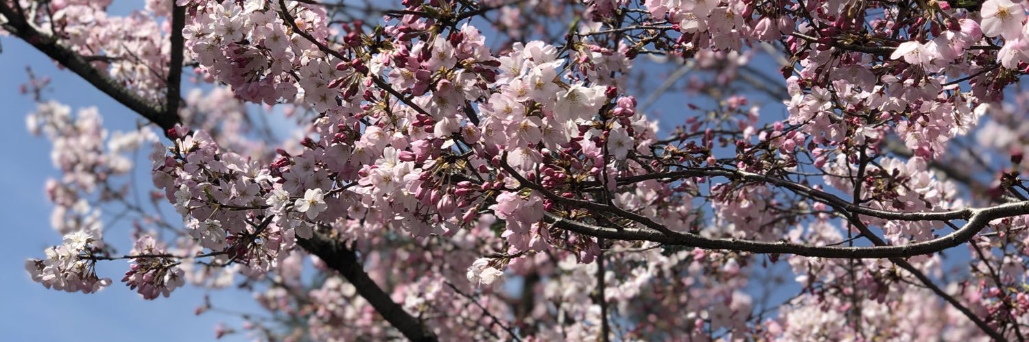 minmin@上海で社会学勉強中's banner