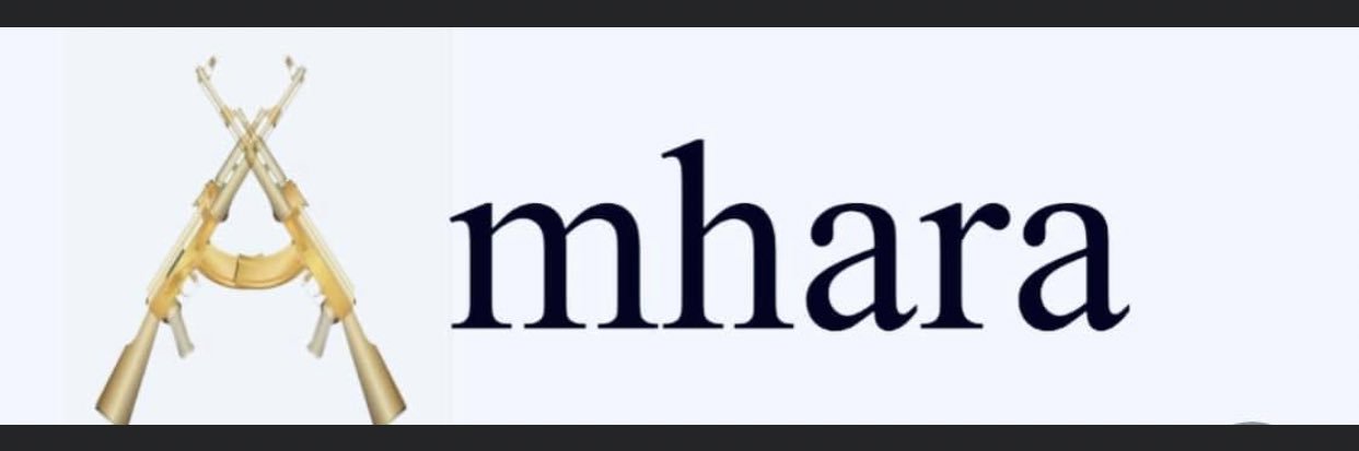 EndAmharaPain's banner