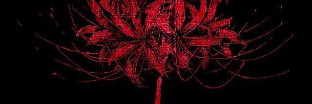 adekswd;🍉's banner
