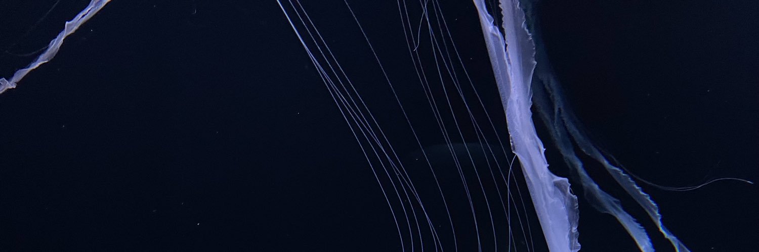 Viviα's banner
