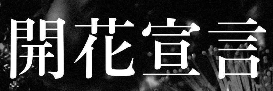 Aile The Shota's banner