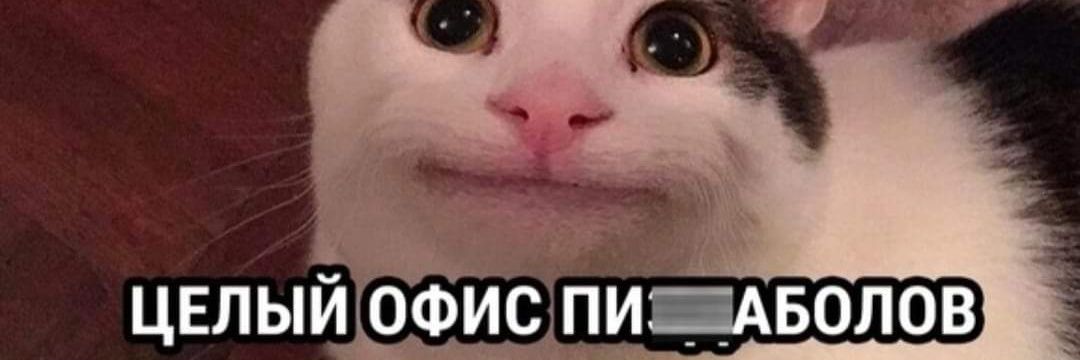 Печеньки Госдепа 🇰🇵's banner