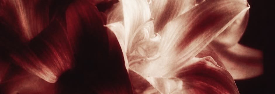 estep's banner