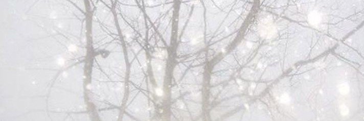 𝓔𝓵𝓲٭'s banner