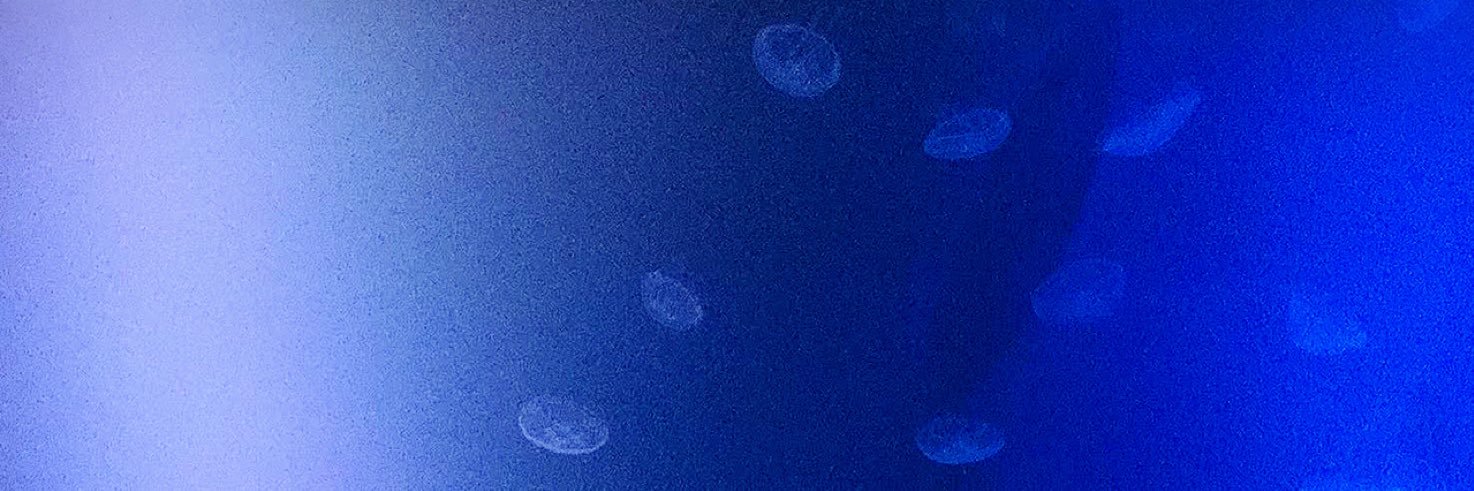 海月(くらげ)'s banner