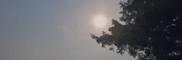 惠州小怪兽's banner