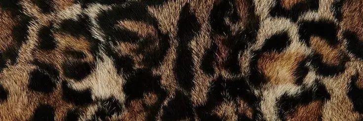 esma's banner