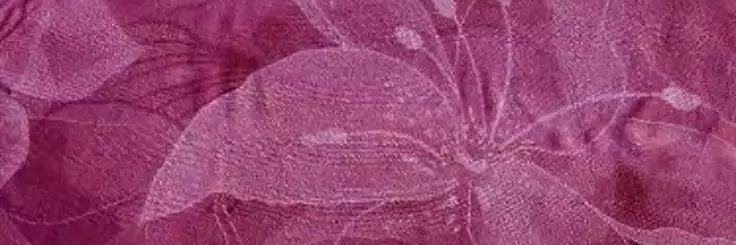 esma's banner
