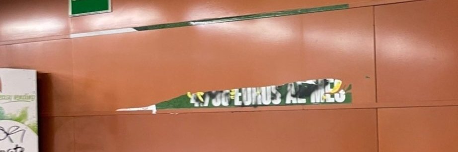 Ana's banner