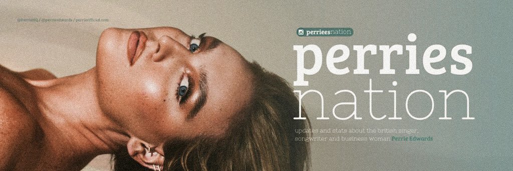 Perrie Nation's banner