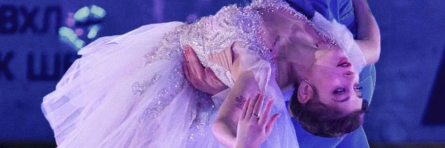 sylvie's banner