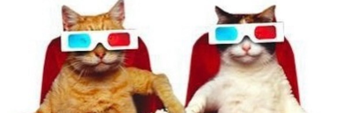 DJ burger 🍔🐯🎵's banner