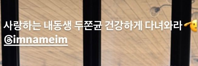 고북🦭's banner
