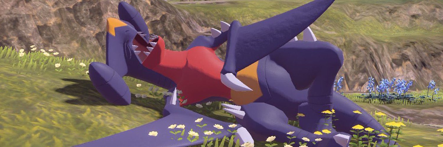 link's banner