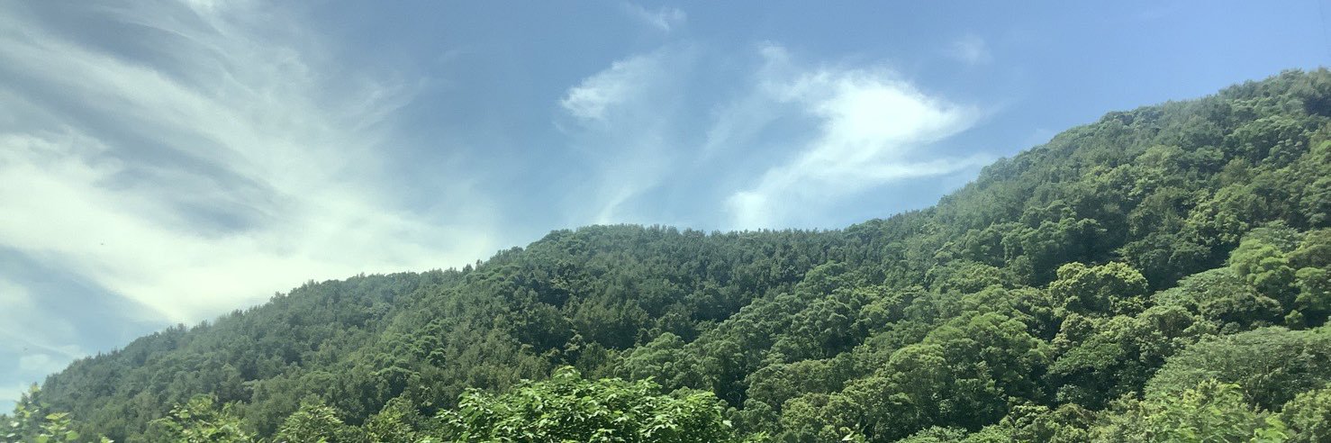 台湾🇹🇼オギバド's banner