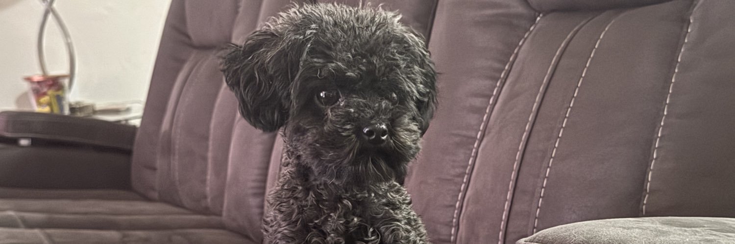 +'s banner
