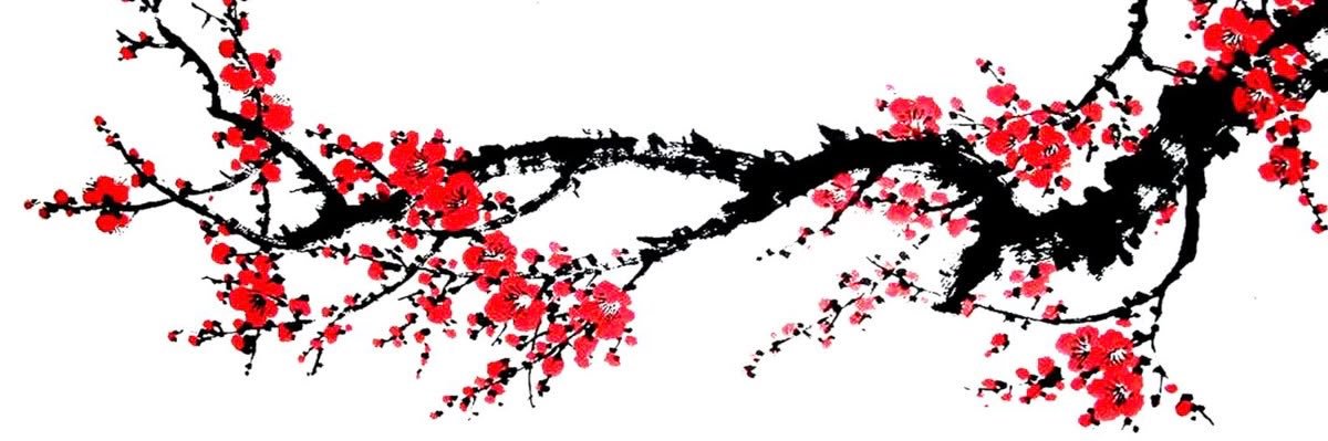 RILEY ⟡'s banner