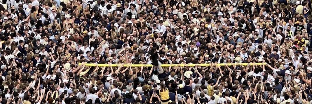 #16 georgia tech pain account's banner