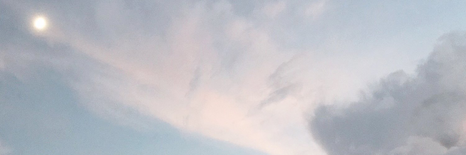 全部犬のせい's banner