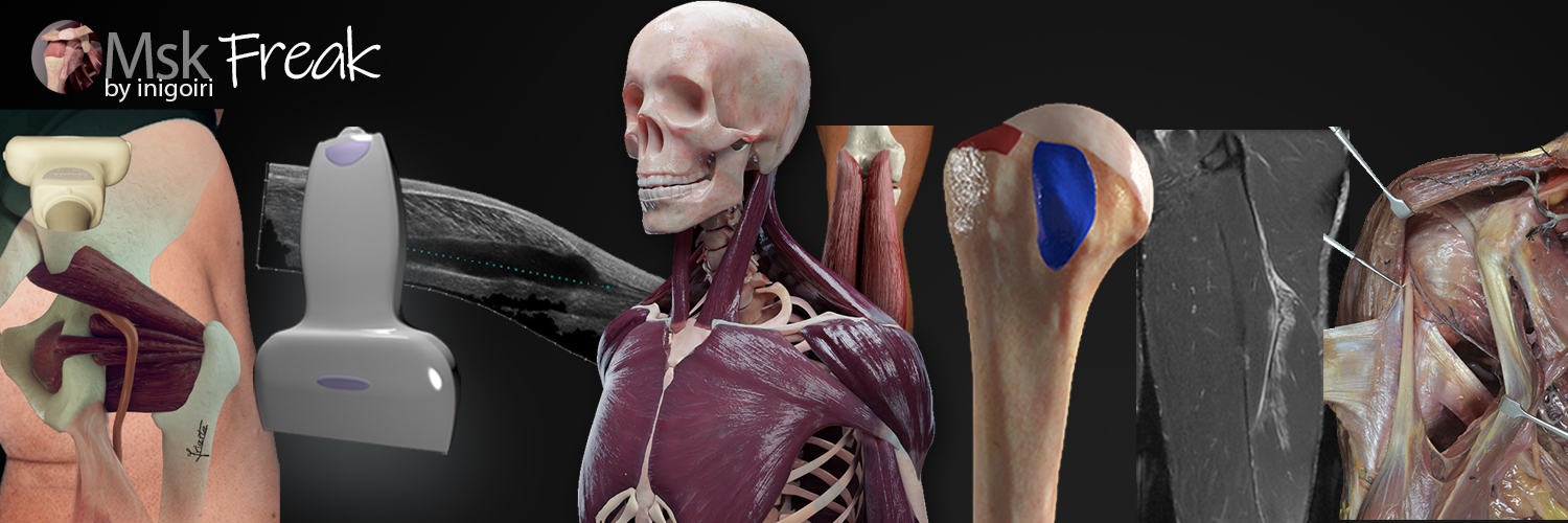 Mskfreak's banner