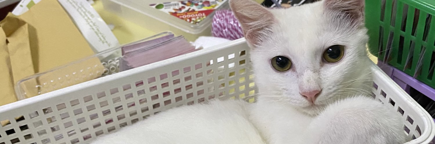 Miauuu Lily ❁'s banner