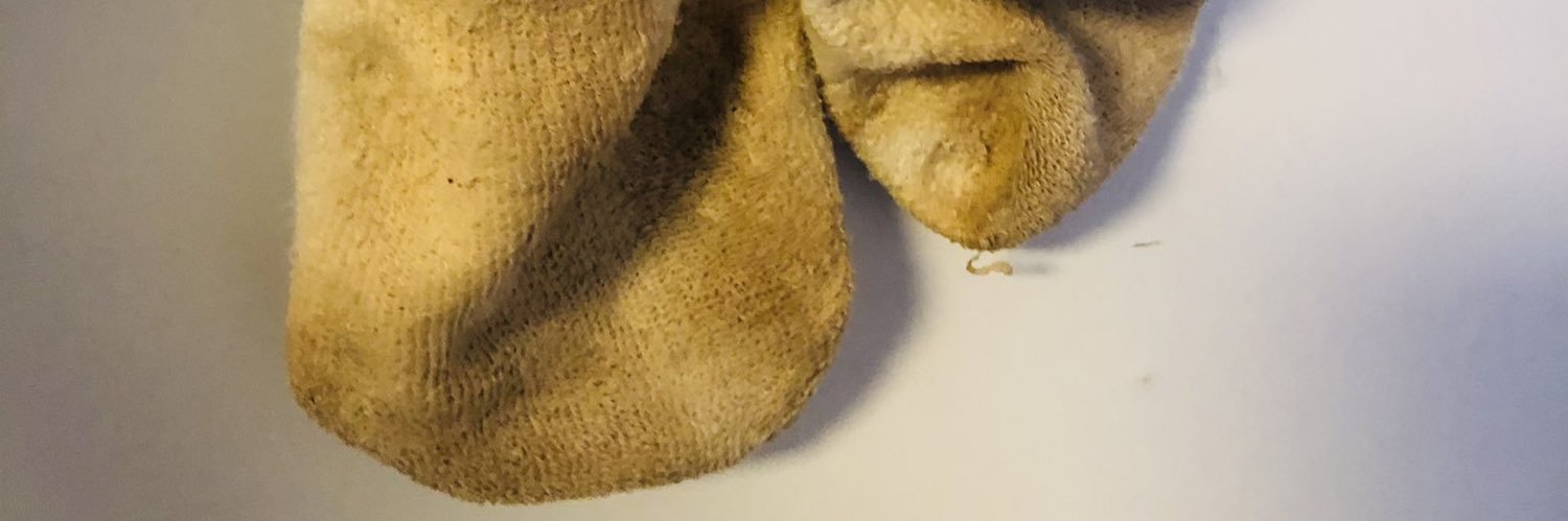 鲨鱼辣脚🦶🏿's banner