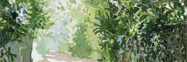 🍃's banner