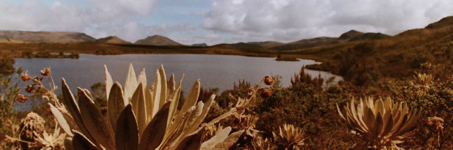 La academia de la nada's banner