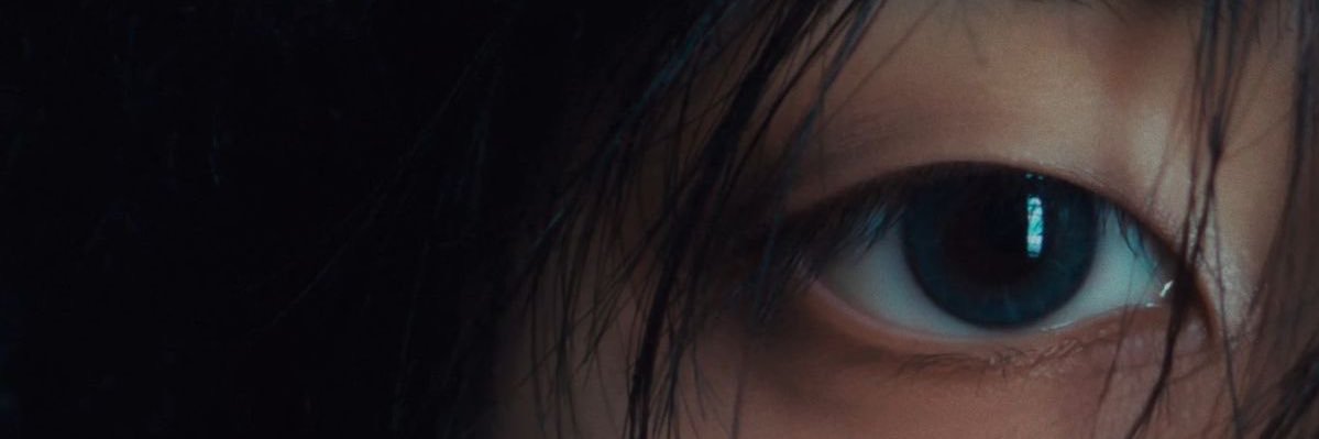carol's banner